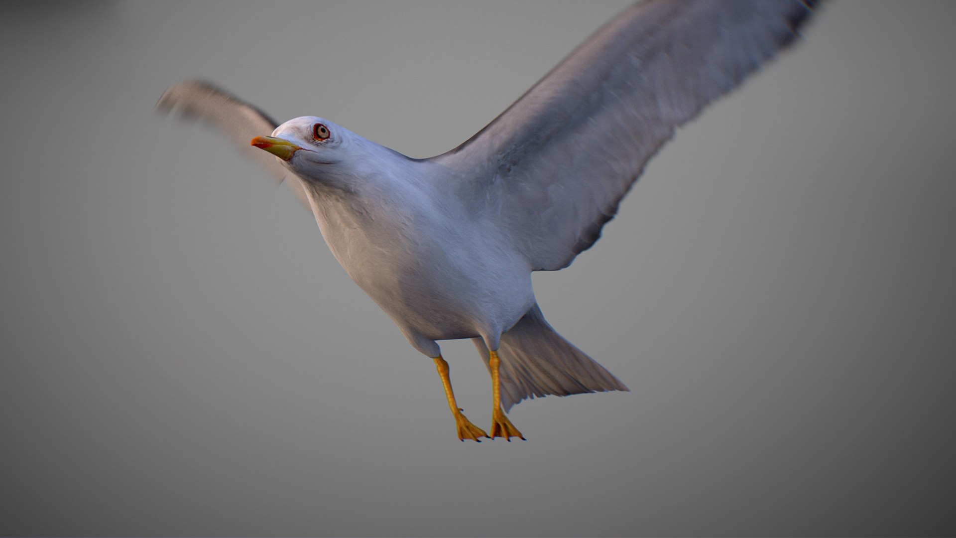 Animated Seagull model https://p.turbosquid.com/ts-thumb/CS/MhFgfI/xh/untitled1_0015_seagull_13/jpg/1789547739/1920x1080/fit_q87/d3ee47b9c1bb1edae36b5cba5668aa6b69f6e036/untitled1_0015_seagull_13.jpg
