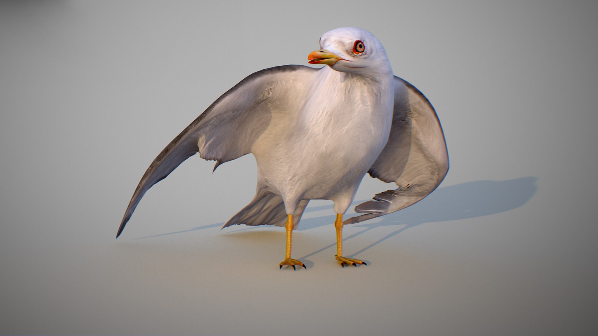 Animated Seagull model https://p.turbosquid.com/ts-thumb/CS/MhFgfI/yL/untitled1_0024_seagull_06/jpg/1789547745/1920x1080/fit_q87/179aa0510ab248ee6b5bc02976d6377a718c0bc5/untitled1_0024_seagull_06.jpg