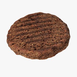 Burger Patty 3D