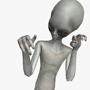 3D model Super-Realistic Gray Alien 3D Animation - Victory