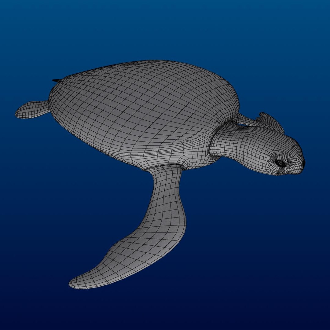 3d turtle rigged normal https://p.turbosquid.com/ts-thumb/CS/b8yQuX/0bFMcRVT/prev_wire3/jpg/1315810955/1920x1080/fit_q87/af7fc15cd4b543c6a7bed082555cb87e27d6bad5/prev_wire3.jpg