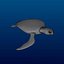 3d turtle rigged normal