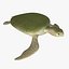 3d turtle rigged normal