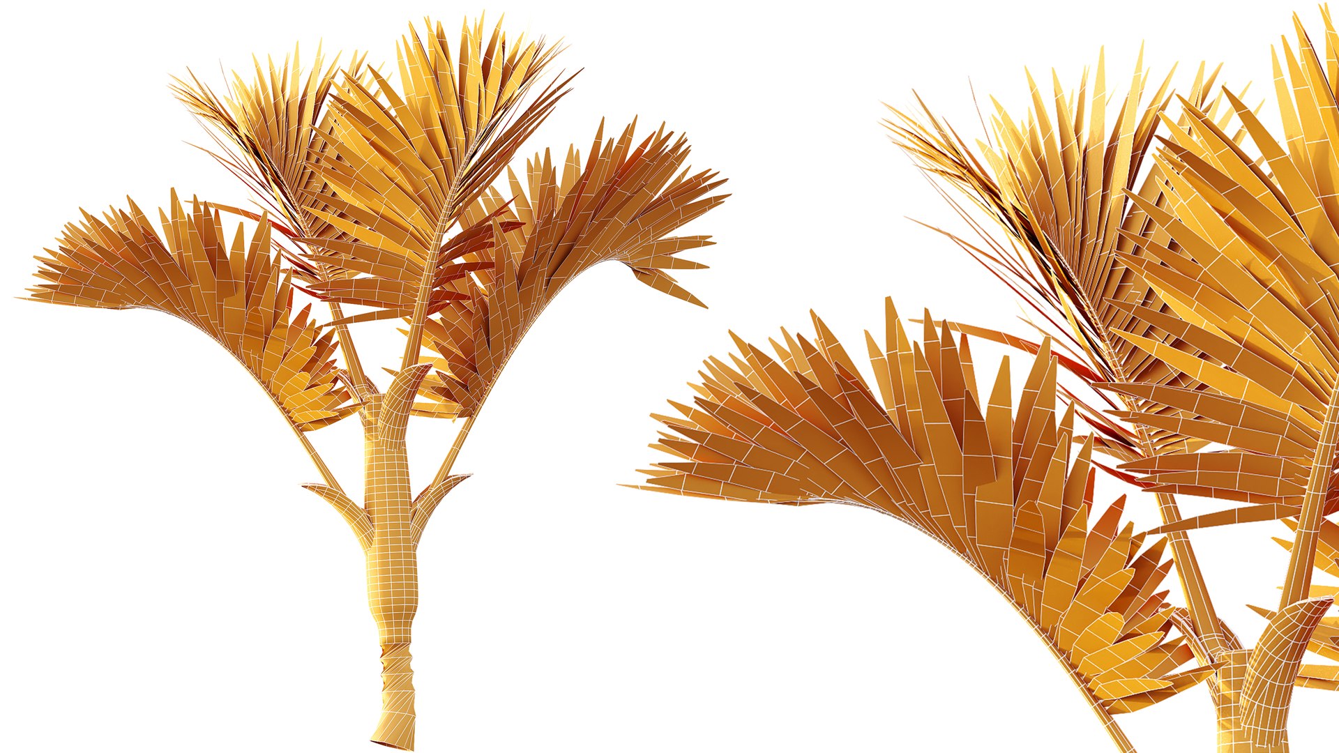 3D AV Plant Cyrtostachys Renda Palm Tree 03 model https://p.turbosquid.com/ts-thumb/CS/dDyfBJ/vY/07/png/1787145152/1920x1080/fit_q87/e63933064415392c8b0eca8b0f21eceadc0e8497/07.jpg