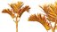 AV Plant Cyrtostachys Renda Palm Tree 03