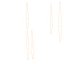 AV Plant Cyrtostachys Renda Palm Tree 03