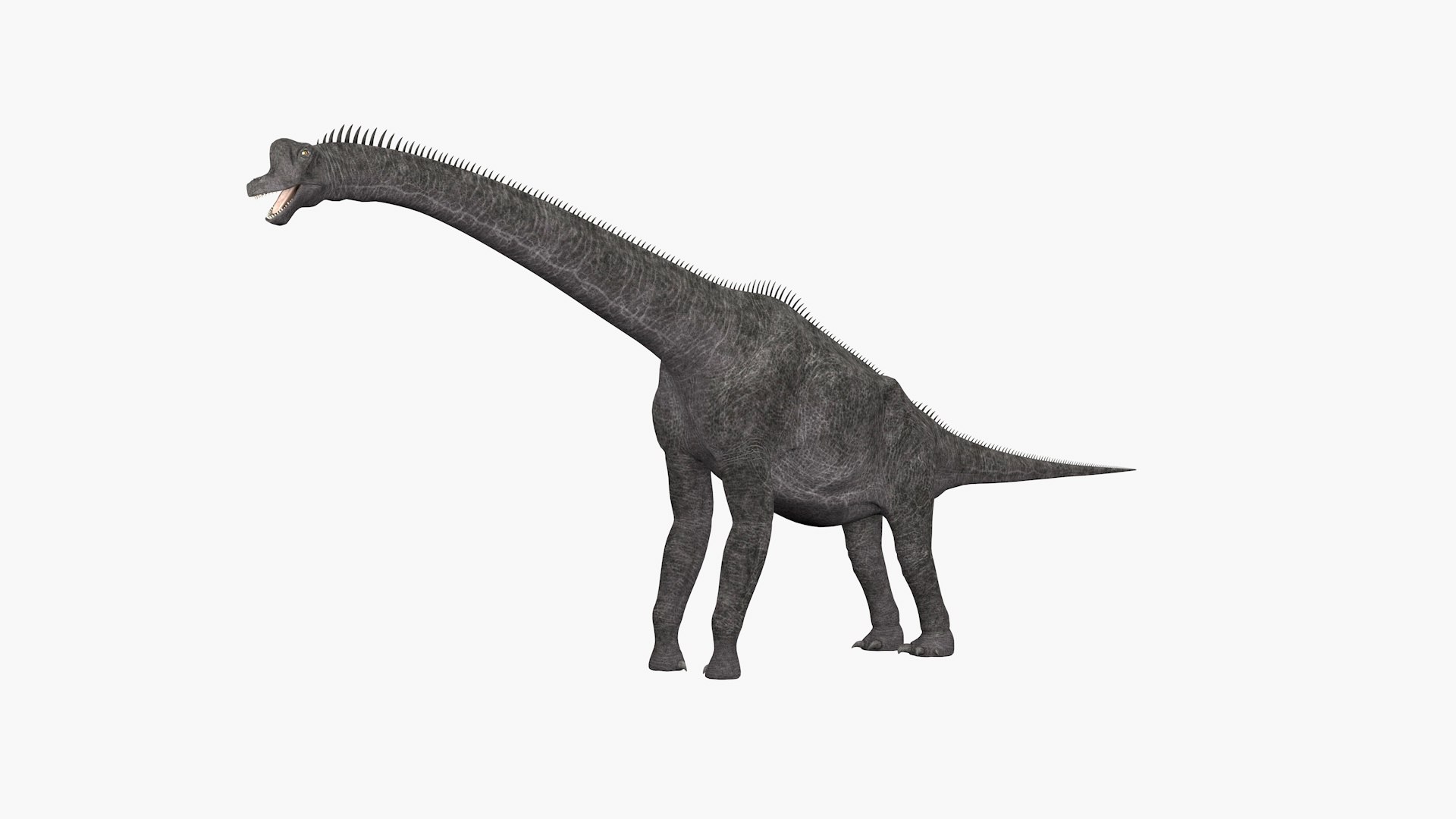 Brachiosaurus Dinosaur 3D Model - TurboSquid 2365809