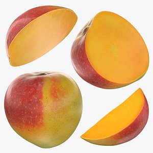 Mango 01 Collection 3