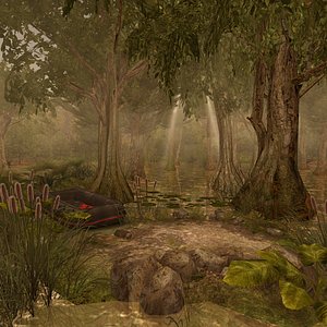 Murky Swamp
