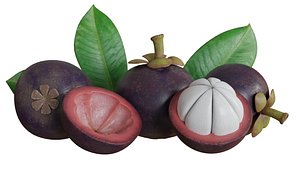 Mangosteen model