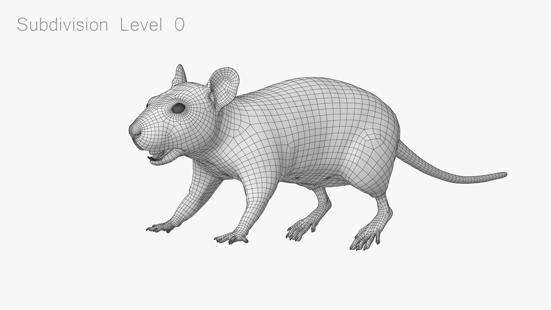 3D rat fur animations https://p.turbosquid.com/ts-thumb/CT/DwdeeB/2XWX7r1n/rat_hairless_wireframe_01/jpg/1602253230/1920x1080/fit_q87/2b2dc1e69d06da869ff1e58e7dd8bed2126ba88c/rat_hairless_wireframe_01.jpg