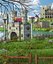 Fantasy Meadow Town
