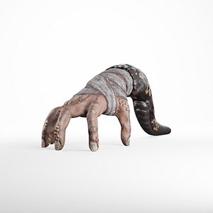 Hand Parasite 3D model