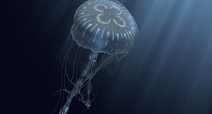 bioluminescent jellyfish model