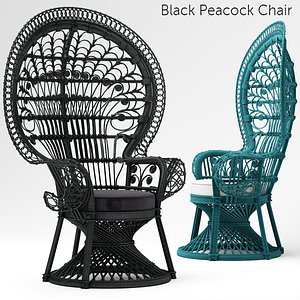 Black Peacock Chair New In
