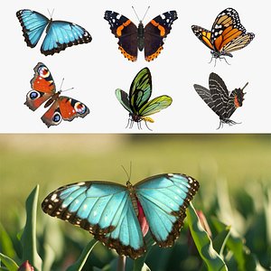 Butterflies 3D Models Collection 2