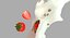 splash truskawka realflow