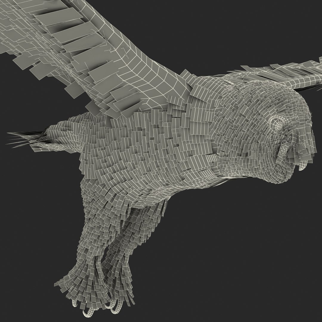 snowy owl 3ds https://p.turbosquid.com/ts-thumb/CU/3Kqt75/01wvrq5Y/snowyowl_17/jpg/1410878461/1920x1080/fit_q87/31e7f496a437e88fce6abdcf260bdcfd0c4c3b8d/snowyowl_17.jpg