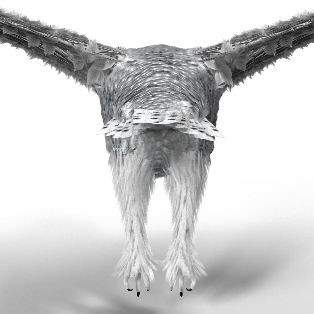 snowy owl 3ds https://p.turbosquid.com/ts-thumb/CU/3Kqt75/62oC495o/snowyowl_20/jpg/1410878429/1920x1080/fit_q87/1916bcfe8f4400d056bcf9c0b02df5babba6399e/snowyowl_20.jpg