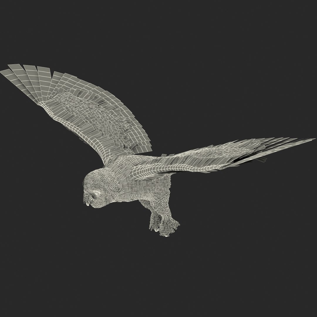 snowy owl 3ds https://p.turbosquid.com/ts-thumb/CU/3Kqt75/AdAiwJU4/snowyowl_13/jpg/1410878454/1920x1080/fit_q87/fd14bf54afd624b2b42a70194859095d326152e8/snowyowl_13.jpg
