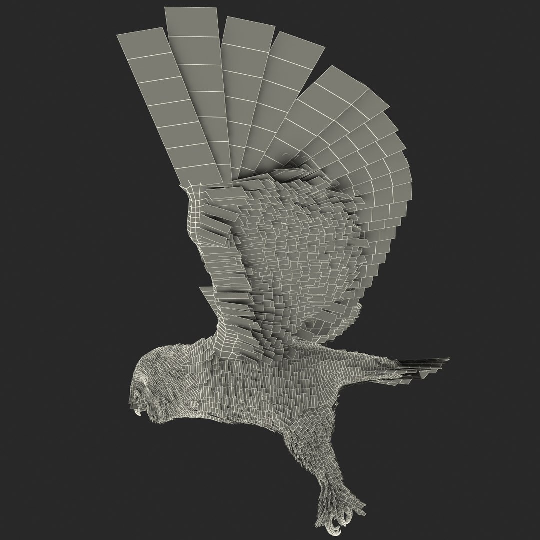 snowy owl 3ds https://p.turbosquid.com/ts-thumb/CU/3Kqt75/IMnVIgdY/snowyowl_5/jpg/1410878438/1920x1080/fit_q87/e6d69afa2a1f6e00b088256ce73abc140804a5ff/snowyowl_5.jpg