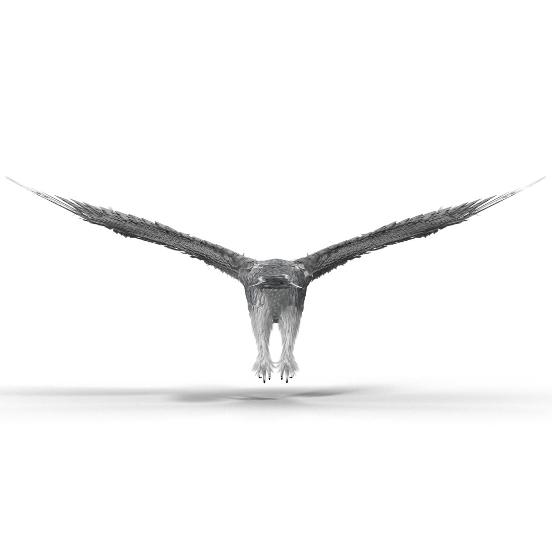 snowy owl 3ds https://p.turbosquid.com/ts-thumb/CU/3Kqt75/NxxlBC50/snowyowl_18/jpg/1410878464/1920x1080/fit_q87/63793d83ecf13ea72a31997b0cff5a78a29f0654/snowyowl_18.jpg