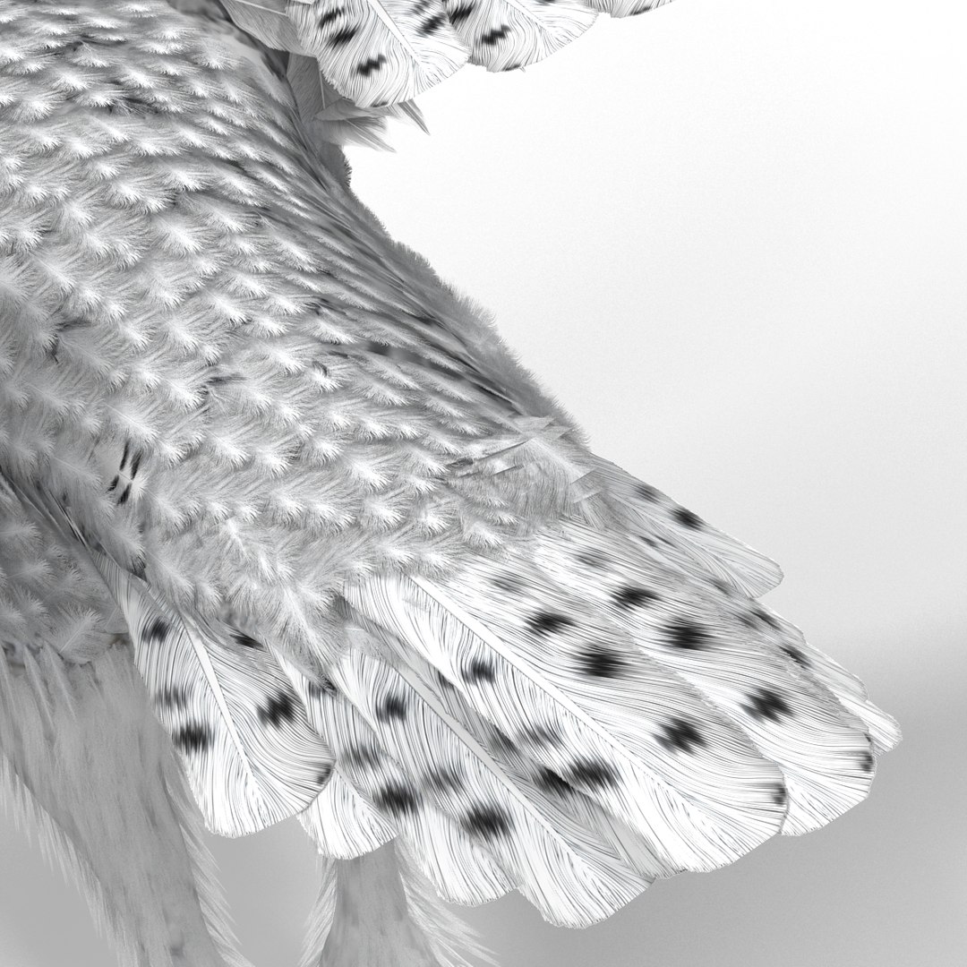 snowy owl 3ds https://p.turbosquid.com/ts-thumb/CU/3Kqt75/YaVUzkiT/snowyowl_31/jpg/1410878495/1920x1080/fit_q87/e313815bc51cceee3ca01b520869c74bd03b1346/snowyowl_31.jpg
