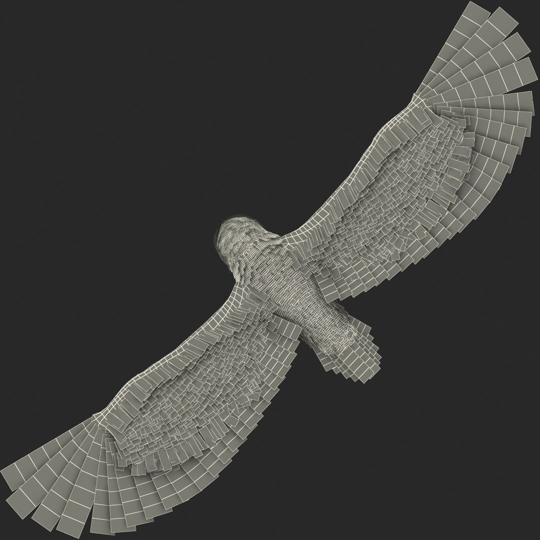 snowy owl 3ds https://p.turbosquid.com/ts-thumb/CU/3Kqt75/ajuOwMfE/snowyowl_9/jpg/1410878447/1920x1080/fit_q87/3ee8b92c9eeb803b0d81a3747be40822a8f454fc/snowyowl_9.jpg