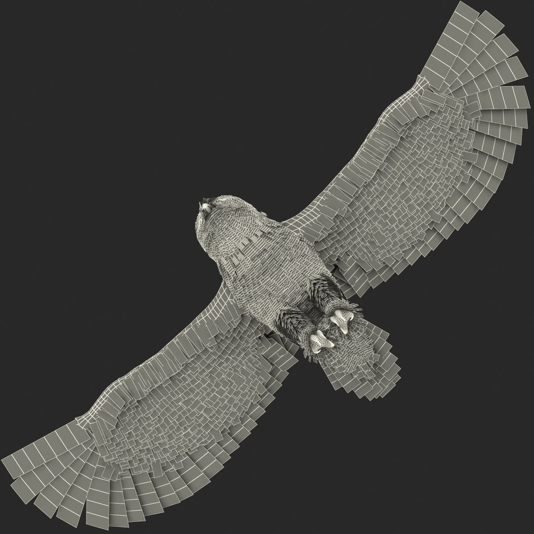 snowy owl 3ds https://p.turbosquid.com/ts-thumb/CU/3Kqt75/hZFrRnAT/snowyowl_11/jpg/1410878410/1920x1080/fit_q87/af5716df6efc1b3e533dba9f78553c3b51d66e23/snowyowl_11.jpg