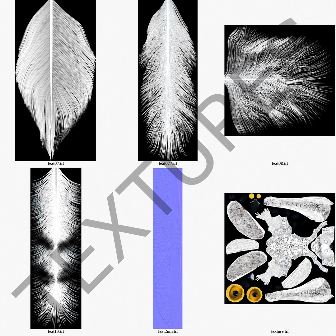 snowy owl 3ds https://p.turbosquid.com/ts-thumb/CU/3Kqt75/ynJa1mHN/snowyowl_7/jpg/1410878401/1920x1080/fit_q87/66c7ca7c37b10442001a00afaf841999a0d33415/snowyowl_7.jpg