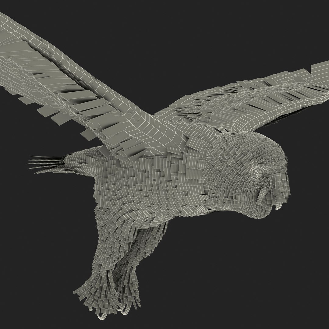 snowy owl 3ds https://p.turbosquid.com/ts-thumb/CU/3Kqt75/zwcvMd84/snowyowl_2/jpg/1410878391/1920x1080/fit_q87/bd880500fbe38a466479a67ce417201911d6d221/snowyowl_2.jpg