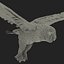 Snowy Owl