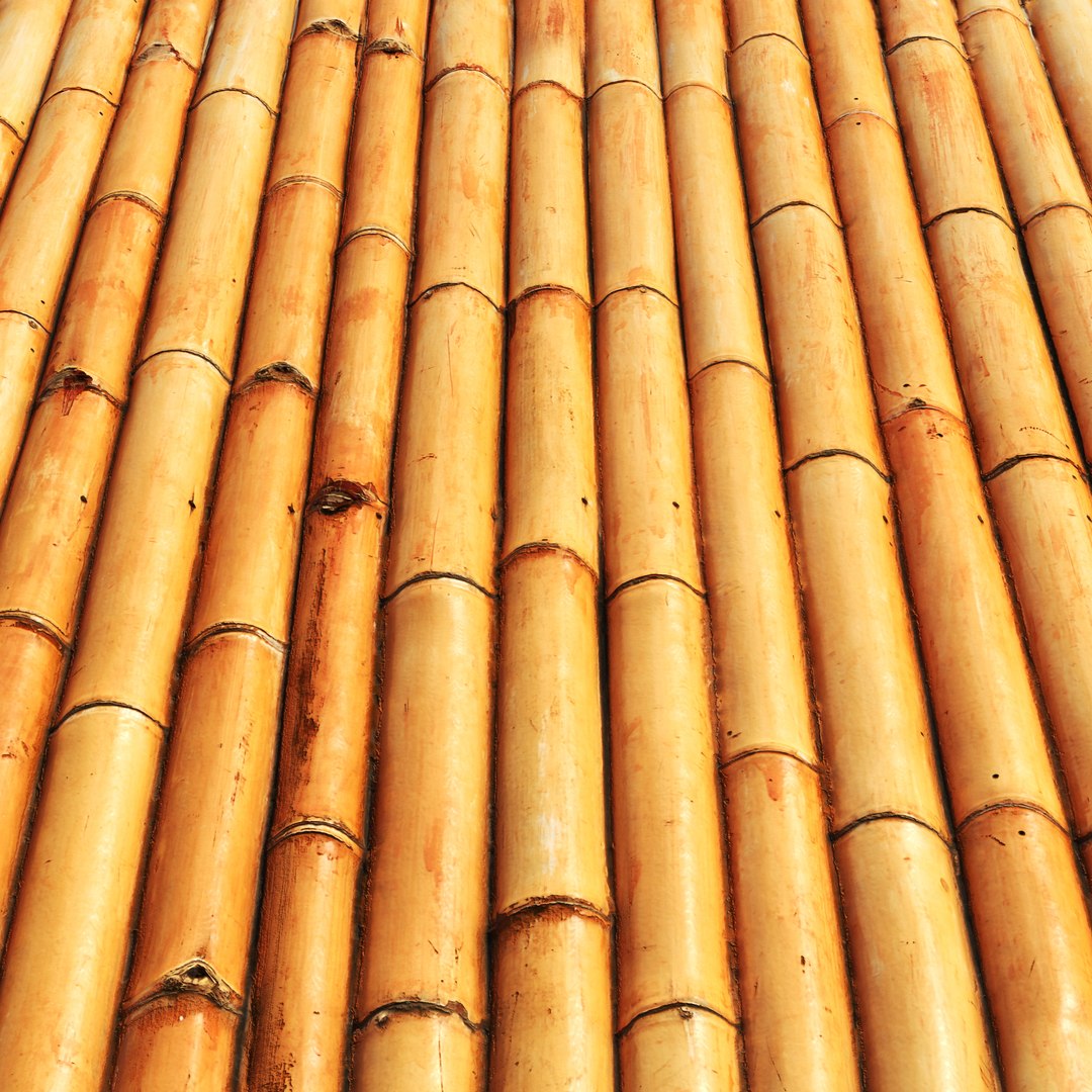 3D Ultra realistic bamboo wall geometry https://p.turbosquid.com/ts-thumb/CU/3jVNe6/GJ/ren.rgb_color.0003/jpg/1626008896/1920x1080/fit_q87/37558a98f3227dcd323f9d06544593347177e209/ren.rgb_color.0003.jpg