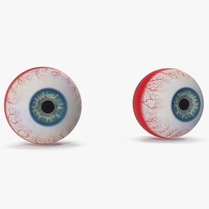 3D model Eyes