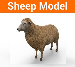 3d sheep cow bull model