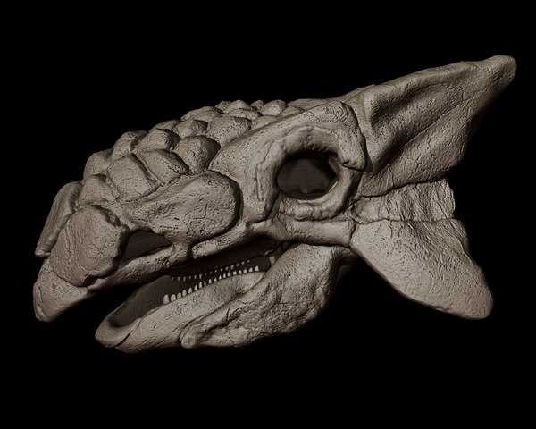 アンキロサウルスの頭蓋骨 3D プリントモデル3Dモデル アンキロサウルスの頭蓋骨 3D プリントモデル3Dモデル