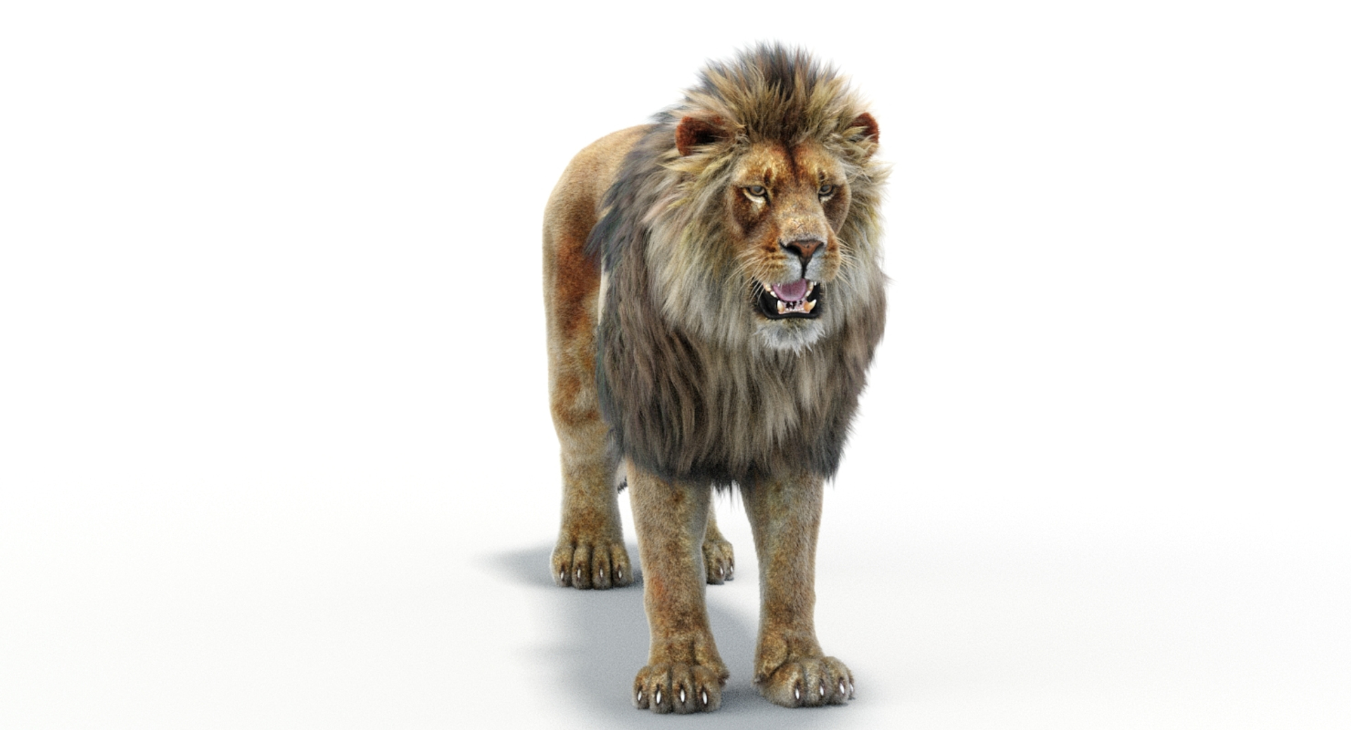 Lion 2 Fur 3d Model