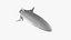 Dirigible