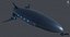 Dirigible