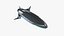 Dirigible