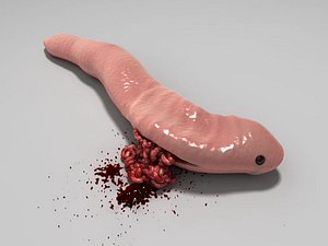 worm stomped 3d 3ds