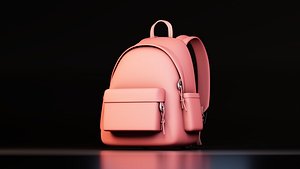 Stylized Backpack