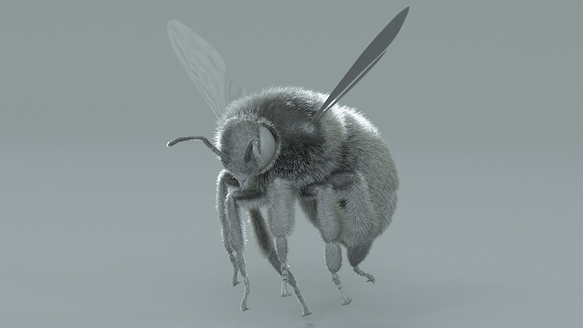 Bumblebee Rigged Xgen 3D model https://p.turbosquid.com/ts-thumb/CU/gYwoec/1K/bumblebee_18/jpg/1718359792/1920x1080/fit_q87/c46a491c04eb0793dd323cb4eff184ea48c38946/bumblebee_18.jpg