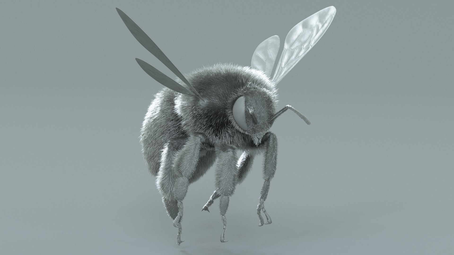 Bumblebee Rigged Xgen 3D model https://p.turbosquid.com/ts-thumb/CU/gYwoec/5O/bumblebee_19/jpg/1718359794/1920x1080/fit_q87/eacee7f50abb262254cacc3224937f0824431b87/bumblebee_19.jpg