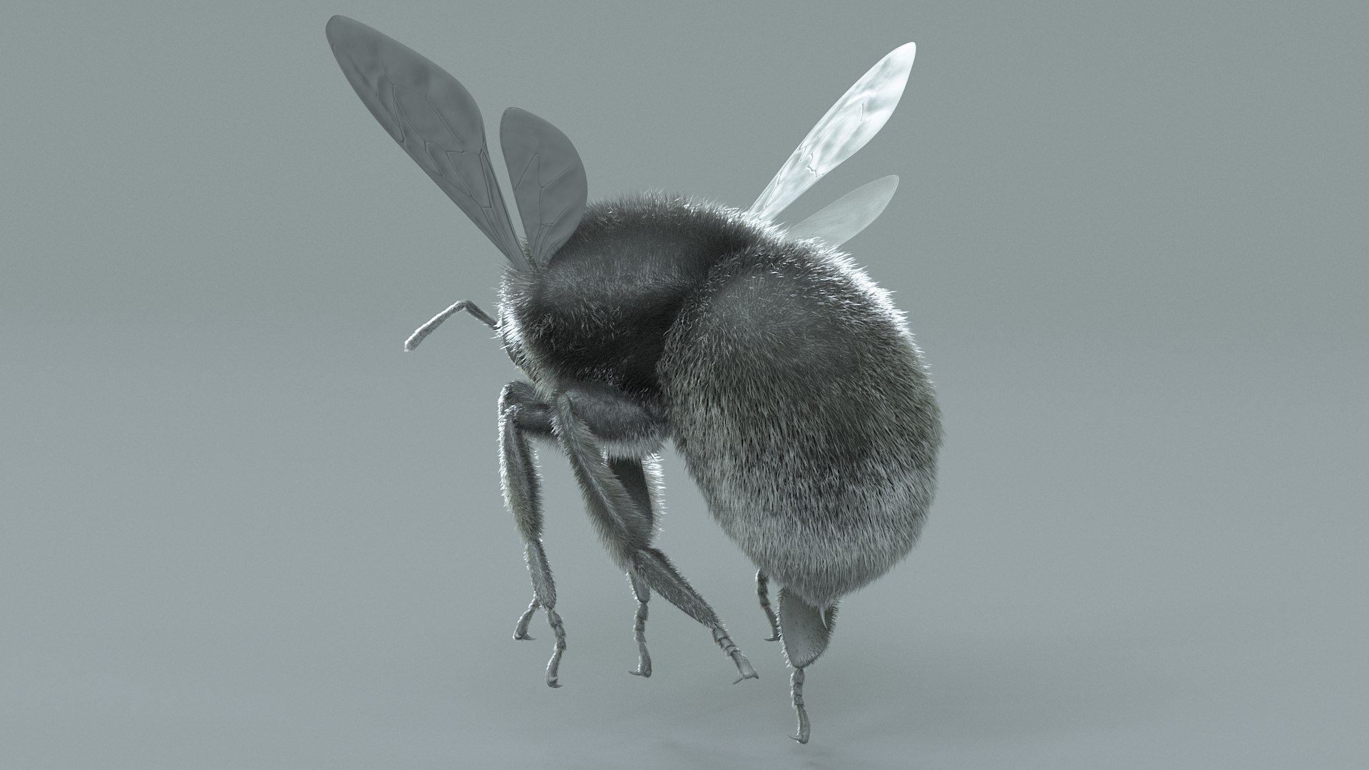 Bumblebee Rigged Xgen 3D model https://p.turbosquid.com/ts-thumb/CU/gYwoec/9L/bumblebee_16/jpg/1718359791/1920x1080/fit_q87/cf2c0f25c6a2f29c4085c560e8163886c01790ee/bumblebee_16.jpg
