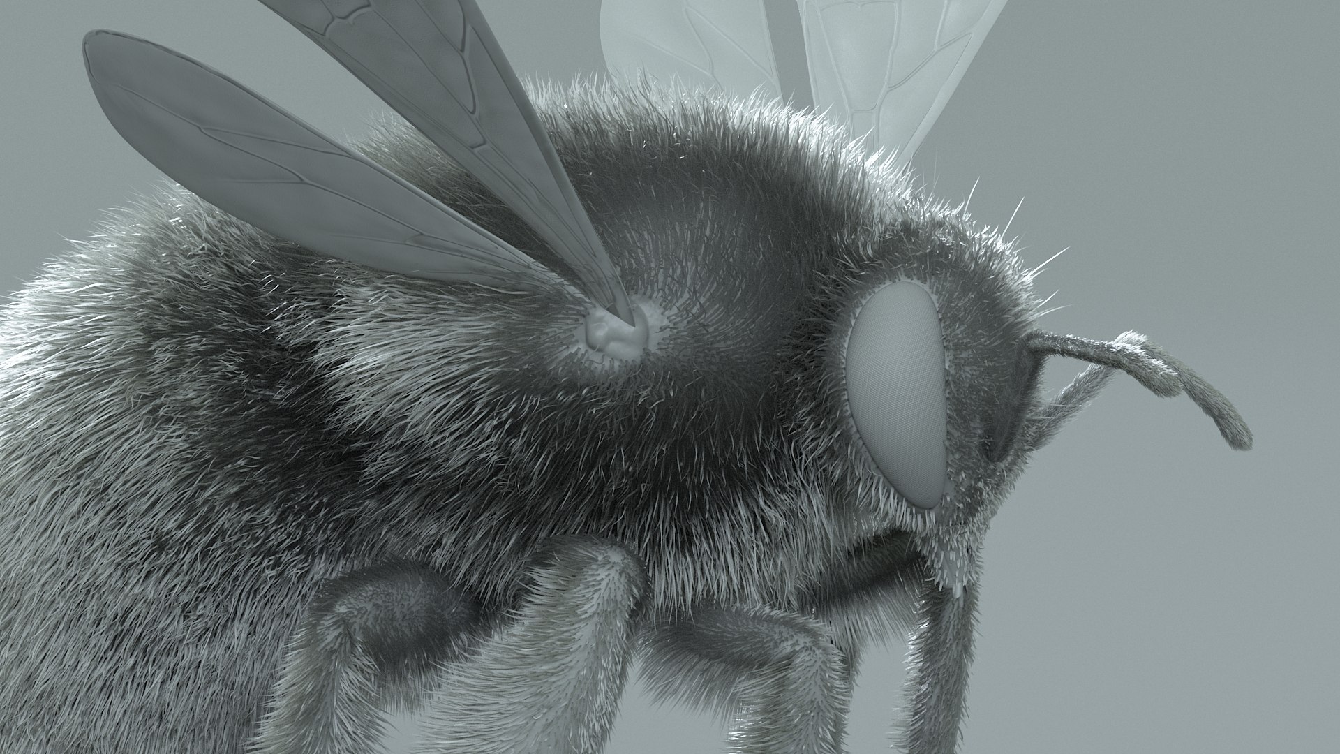 Bumblebee Rigged Xgen 3D model https://p.turbosquid.com/ts-thumb/CU/gYwoec/AX/bumblebee_21/jpg/1718359799/1920x1080/fit_q87/8d38514f6d6140b1cbb9ed9d144d0170bf0b2480/bumblebee_21.jpg