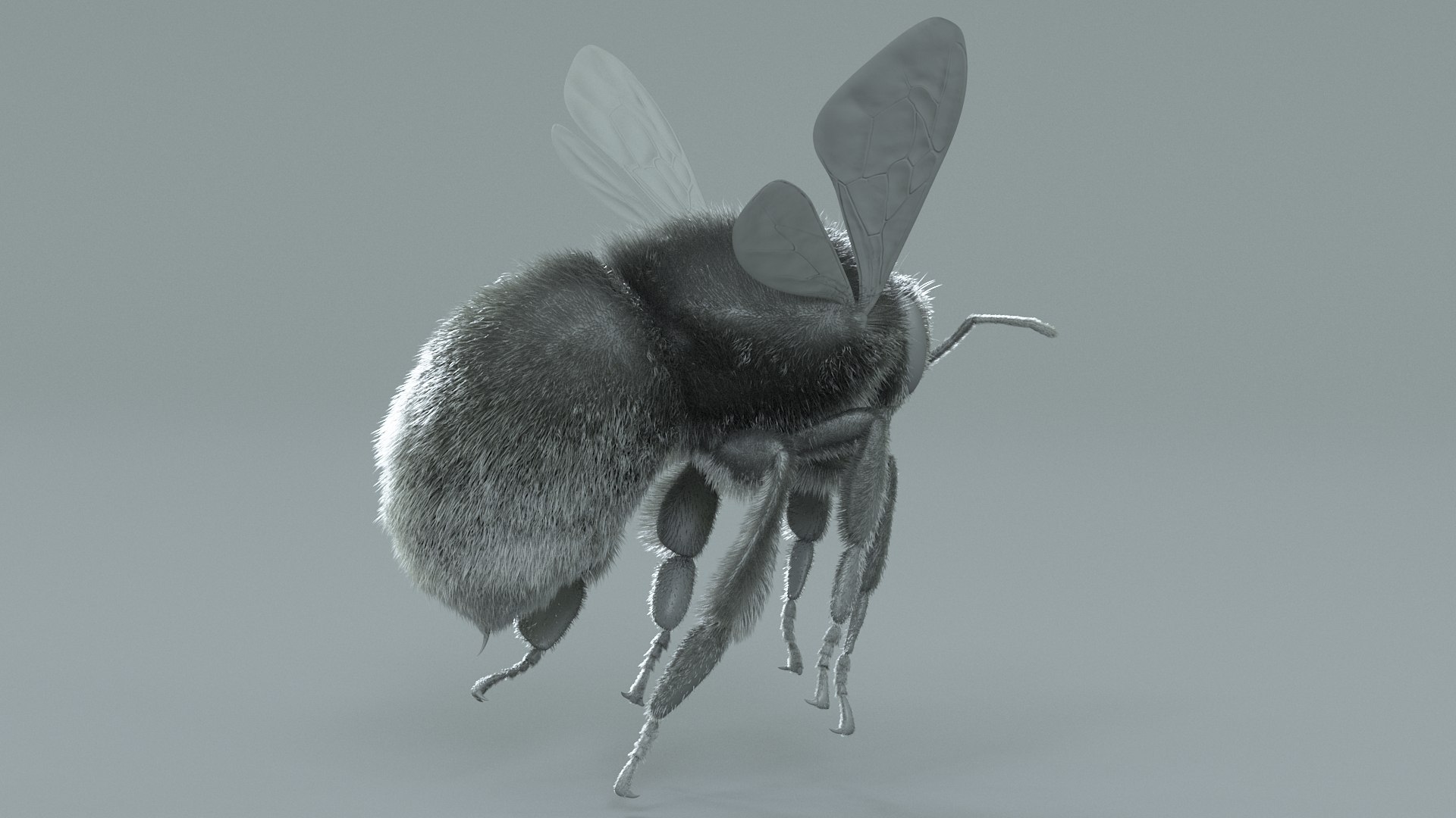 Bumblebee Rigged Xgen 3D model https://p.turbosquid.com/ts-thumb/CU/gYwoec/Kk/bumblebee_14/jpg/1718359789/1920x1080/fit_q87/9508009c4eb55c47441b4e79197f98cc85a709c9/bumblebee_14.jpg
