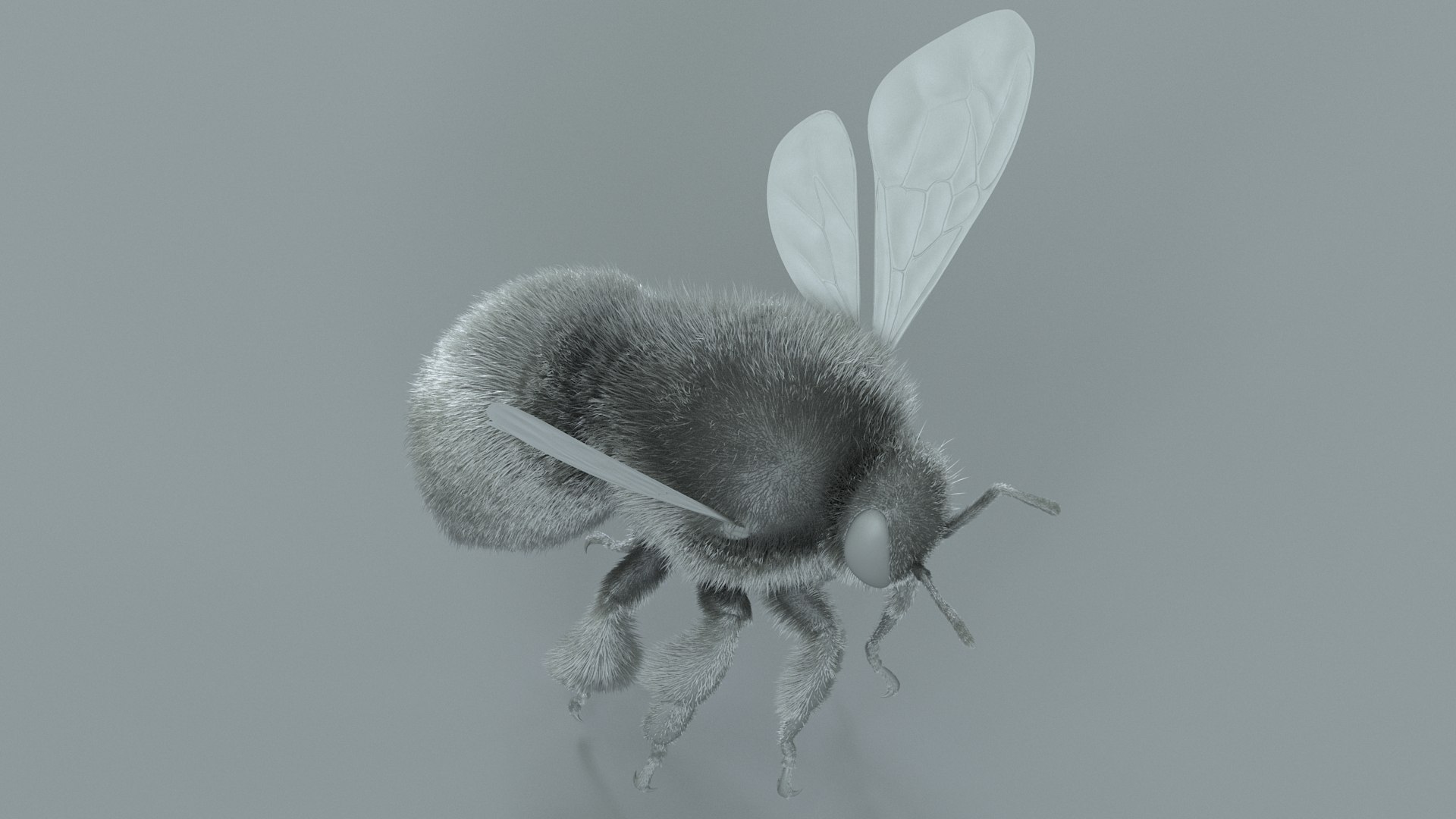 Bumblebee Rigged Xgen 3D model https://p.turbosquid.com/ts-thumb/CU/gYwoec/Oj/bumblebee_20/jpg/1718359796/1920x1080/fit_q87/2c16cdd4aef2bb6023d9b010ce1b03686976d898/bumblebee_20.jpg