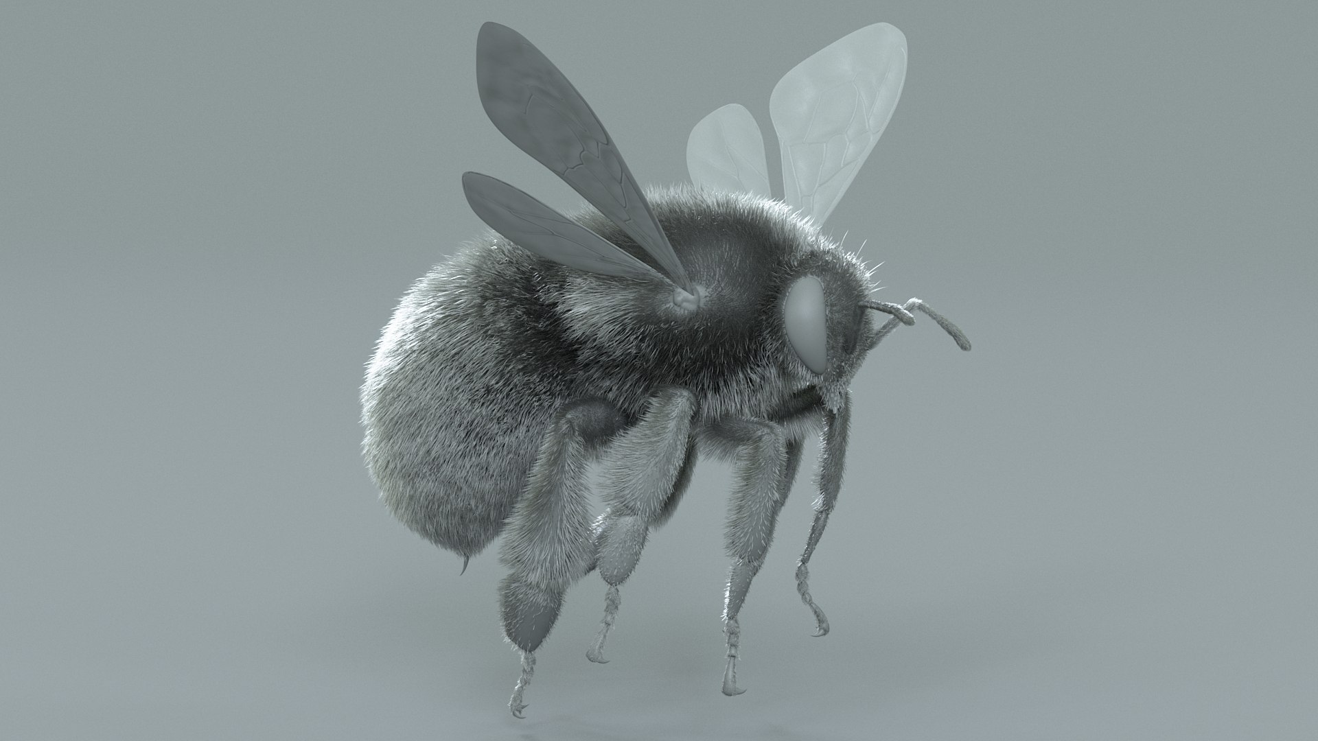 Bumblebee Rigged Xgen 3D model https://p.turbosquid.com/ts-thumb/CU/gYwoec/WQ/bumblebee_12/jpg/1718359786/1920x1080/fit_q87/8747c1d876857833af66a6d3493bbfeeb17c33cd/bumblebee_12.jpg