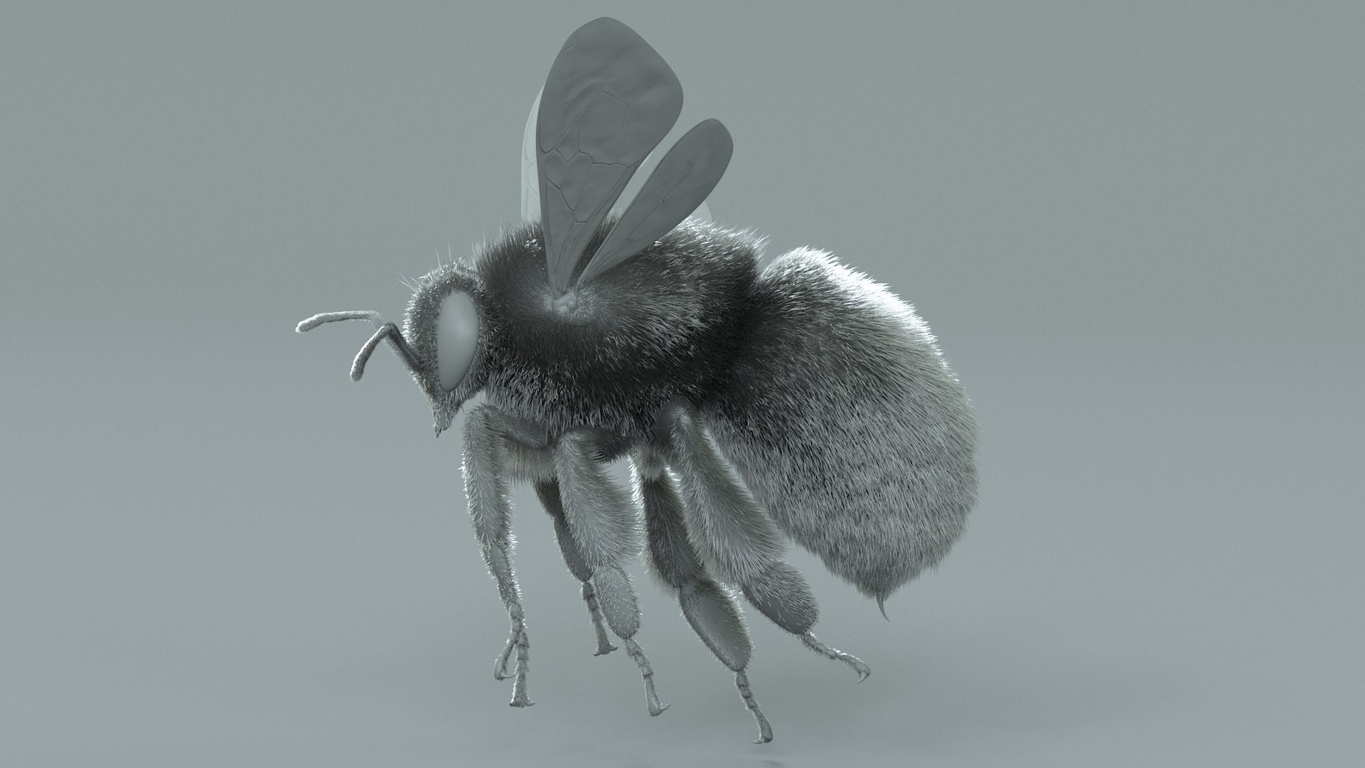 Bumblebee Rigged Xgen 3D model https://p.turbosquid.com/ts-thumb/CU/gYwoec/dD/bumblebee_17/jpg/1718359792/1920x1080/fit_q87/cb8933f1b730a3ef5b60adca10ee368728af3e7f/bumblebee_17.jpg